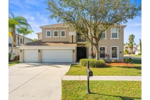 17800 SOUTER LANE, LAND O LAKES, FL 34638 Sold 07/08/25