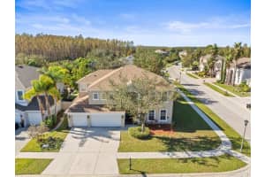 17800 SOUTER LANE, LAND O LAKES, FL 34638 Sold 07/08/25