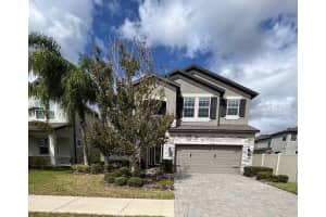 10330 STALLION FIELDS WAY, TAMPA, FL 33647 Sold 03/11/25