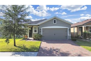 11633 MANDEVILLA VIEW WAY, RIVERVIEW, FL 33579 Sold 03/25/25
