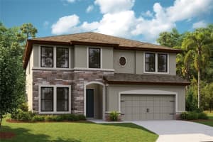 14824 SUMMER BRANCH DRIVE, LITHIA, FL 33547 Sold 12/23/24
