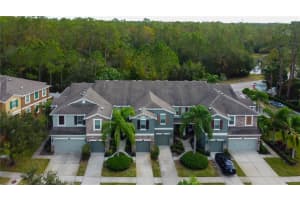 12590 STREAMDALE DRIVE, TAMPA, FL 33626 Sold 01/13/25