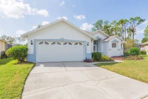 5303 WATERLEAF COURT, VALRICO, FL 33596 Sold 02/06/25