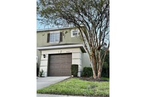 8550 TRAIL WIND DRIVE, TAMPA, FL 33647 - MLS#MFRTB8316345