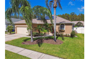 7151 CAPTIVA CIRCLE, NEW PORT RICHEY, FL 34655 Sold 01/18/25