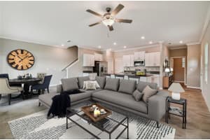 21834 ADRIATIC LANE, LAND O LAKES, FL 34637 Sold 12/24/24