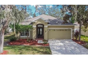 10802 MOSS ISLAND DRIVE, RIVERVIEW, FL 33569 Sold 12/20/24