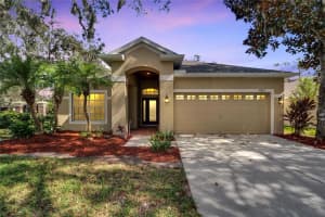 10802 MOSS ISLAND DRIVE, RIVERVIEW, FL 33569 Sold 12/20/24