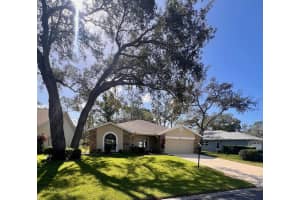 6581 PINE MEADOWS DRIVE, SPRING HILL, FL 34606 Sold 12/05/24