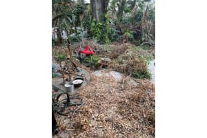 4712 CLEAR AVENUE, TAMPA, FL 33629 Sold 01/06/25