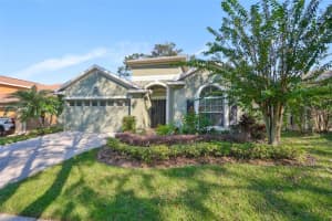 1148 Emerald Hill Way, VALRICO