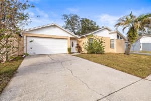 2002 GREGORY DRIVE, TAMPA, FL 33613 Sold 12/26/24