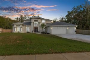 10508 HINDS PLACE, ODESSA, FL 33556 Sold 12/17/24