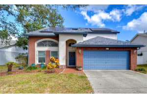 3633 CHATHAM DRIVE, PALM HARBOR, FL 34684 Sold 12/27/24