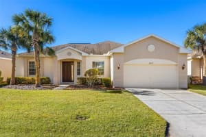 10527 OLD TAMPA BAY DRIVE, SAN ANTONIO, FL 33576 Sold 02/07/25