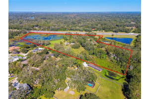 1810 CURRY ROAD, LUTZ, FL 33549 Sold 10/06/25