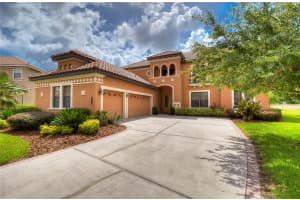 20103 SHADY HILL LANE, TAMPA, FL 33647 Sold 06/30/25