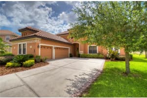 20103 SHADY HILL LANE, TAMPA, FL 33647 Sold 06/30/25