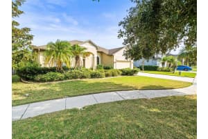 15645 N HIMES AVENUE, TAMPA, FL 33618 Sold 12/10/24
