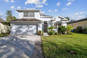 10917 TREE CACTUS LOOP, LAND O LAKES, FL 34638 Sold 12/13/24