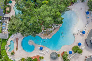 36750 US HIGHWAY 19 N #12-212, PALM HARBOR, FL 34683 Sold 05/13/25