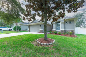 1413 MAIN STREET, VALRICO, FL 33594 Sold 01/21/25