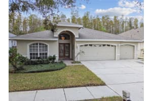 19728 MORDEN BLUSH DRIVE, LUTZ, FL 33558 Sold 01/07/25