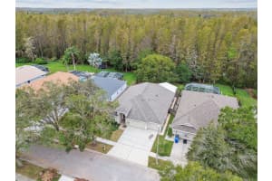 19728 MORDEN BLUSH DRIVE, LUTZ, FL 33558 Sold 01/07/25