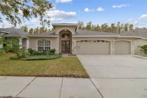 19728 MORDEN BLUSH DRIVE, LUTZ, FL 33558 Sold 01/07/25