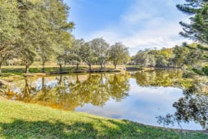 6015 LAKETREE LANE, TEMPLE TERRACE, FL 33617 Sold 12/18/24