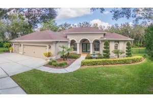 15802 SORAWATER DRIVE, LITHIA, FL 33547 Sold 03/17/25