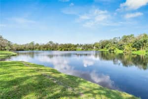 2543 CENTENNIAL FALCON DRIVE, VALRICO, FL 33596 Sold 04/09/25