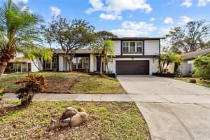 4020 DELLBROOK DRIVE, TAMPA, FL 33624 Sold 12/09/24