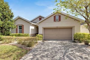 11538 TANGLE BRANCH LANE, GIBSONTON, FL 33534 Sold 05/20/25