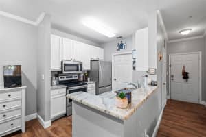 10105 COURTNEY PALMS BOULEVARD, TAMPA, FL 33619 Sold 02/14/25