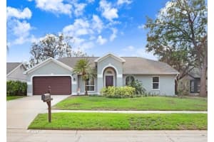 12417 WINDSWEPT AVENUE, RIVERVIEW, FL 33569 Sold 12/20/24
