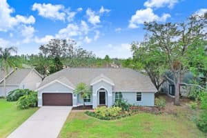 12417 WINDSWEPT AVENUE, RIVERVIEW, FL 33569 Sold 12/20/24