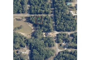 2920 RALEIGH LANE, DUNNELLON, FL 34433 - MLS#MFRTB8317271
