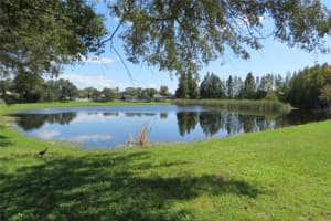 1718 AZALEA COURT, OLDSMAR, FL 34677 Sold 01/29/25