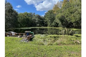 8432 JONES AVENUE, TAMPA, FL 33604 Sold 12/03/24