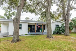 4110 EUCLID AVENUE, TAMPA, FL 33629 Sold 12/16/24