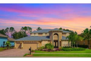 21635 DRAYCOTT WAY, LAND O LAKES, FL 34637 Sold 01/07/25