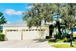 3319 CHESSINGTON DRIVE, LAND O LAKES, FL 34638 Sold 12/13/24