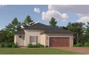 31804 CARDINAL YARD DRIVE, SAN ANTONIO, FL 33576 Sold 01/24/25