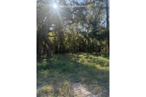 14004 PEACE BOULEVARD, SPRING HILL, FL 34610 Sold 07/07/25