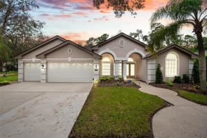 4742 DEVONSHIRE BOULEVARD, PALM HARBOR, FL 34685 Sold 01/31/25