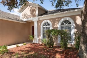 9423 BLACK THORN LOOP, LAND O LAKES, FL 34638 Sold 03/20/25