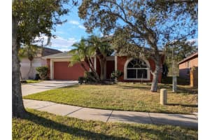 27542 Sky Lake Circle, WESLEY CHAPEL