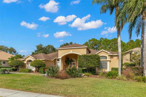 4449 ROANOAK WAY, PALM HARBOR, FL 34685 Sold 12/30/24