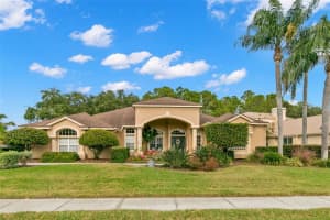 4449 ROANOAK WAY, PALM HARBOR, FL 34685 Sold 12/30/24